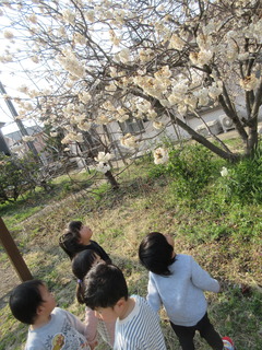 IMG_0549.JPG