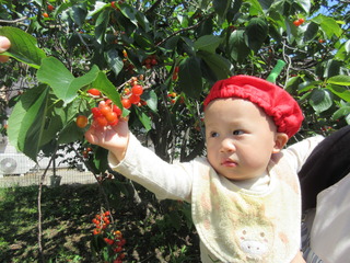 IMG_1136.JPG