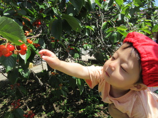IMG_1146.JPG