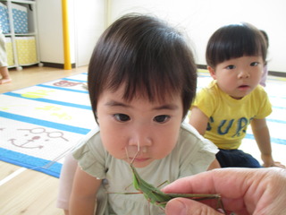 IMG_1757.JPG