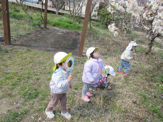 IMG_3654.JPG
