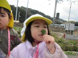 IMG_3687.JPG