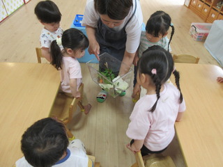 IMG_4210.JPG