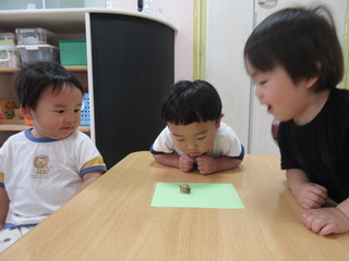IMG_4211.JPG