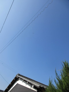 IMG_5406.JPG