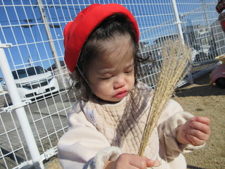 IMG_5923.JPG