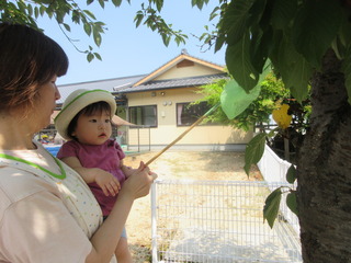 IMG_8025.JPG
