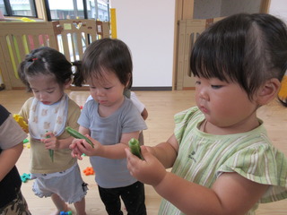 IMG_8184.JPG