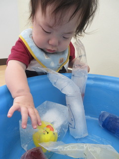 IMG_8361.JPG