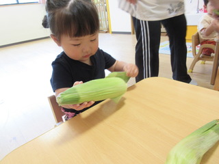 IMG_8578.JPG