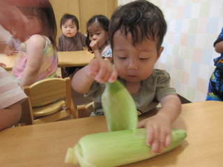 IMG_8582.JPG