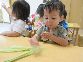 IMG_8620.JPG